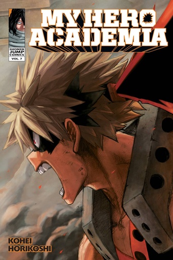 MY HERO ACADEMIA 07