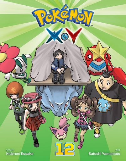 POKEMON XY 12