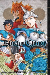 BLACK CLOVER 12