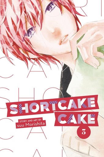 SHORTCAKE CAKE 03