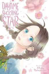 DAYTIME SHOOTING STAR 04