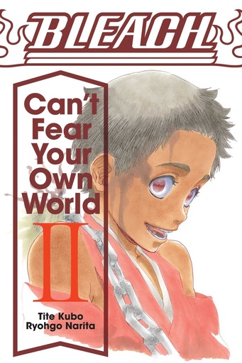 BLEACH CANT FEAR YOUR OWN WORLD LIGHT NOVEL 02