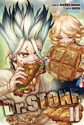 DR STONE 11
