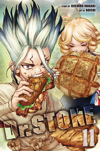 DR STONE 11