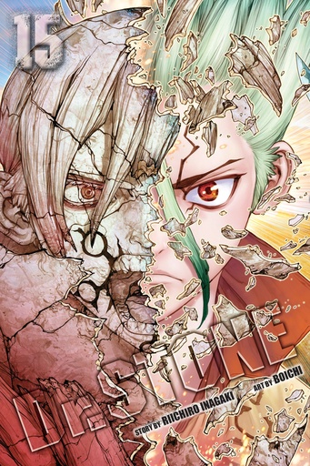 DR STONE 15