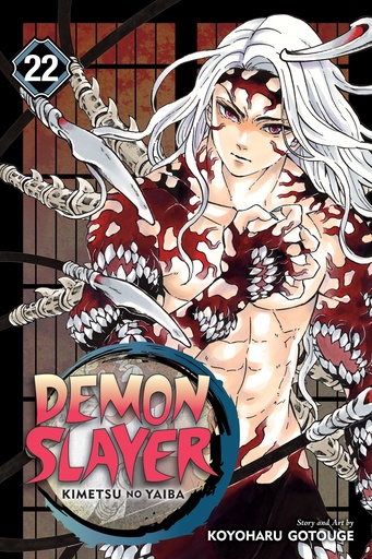 DEMON SLAYER KIMETSU NO YAIBA 22
