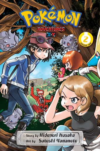 POKEMON ADV X Y 02