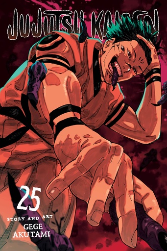 JUJUTSU KAISEN 25