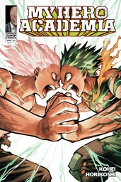MY HERO ACADEMIA 41