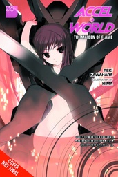 ACCEL WORLD NOVEL 06 BRIDGE FLOATING IN STARLIGHT