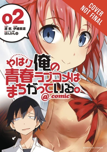 YOUTH ROMANTIC COMEDY WRONG AS EXPECTED NOVEL 01