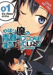 YOUTH ROMANTIC COMEDY IS WRONG AS I EXPECTED 01