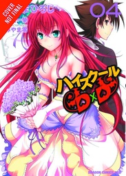HIGH SCHOOL DXD 04