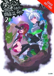 IS WRONG TRY PICK UP GIRLS IN DUNGEON NOVEL 02