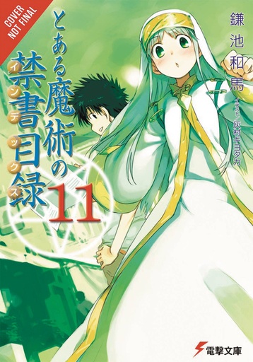 A CERTAIN MAGICAL INDEX LIGHT NOVEL 11