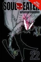 SOUL EATER 22