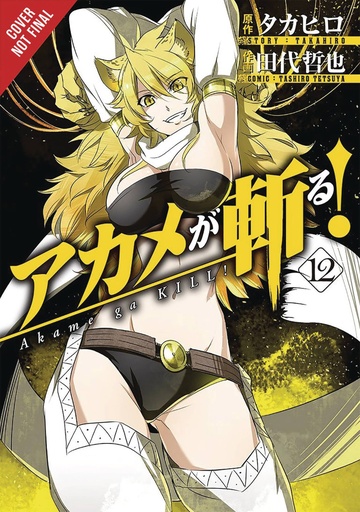 AKAME GA KILL 12
