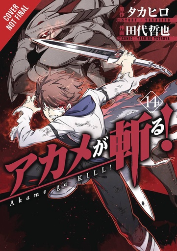 AKAME GA KILL 14