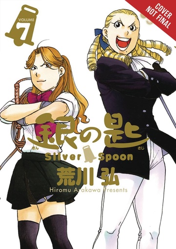 SILVER SPOON 07