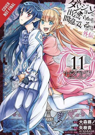 IS WRONG PICK UP GIRLS DUNGEON SWORD ORATORIA 11