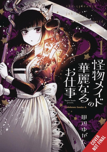 SPLENDID WORK OF MONSTER MAID 01