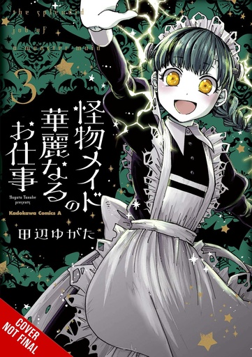 SPLENDID WORK OF MONSTER MAID 03