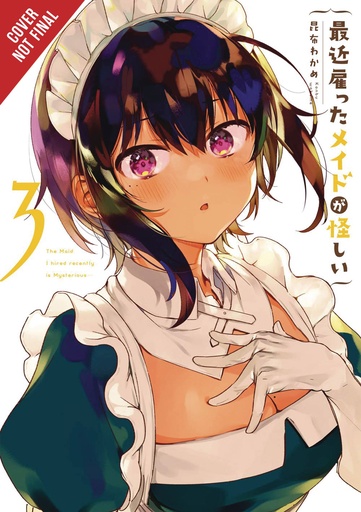 MAID I HIRED RECENTLY IS MYSTERIOUS 03