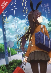 RASCAL DOES NOT DREAM OF BUNNY GIRL SENPAI 01