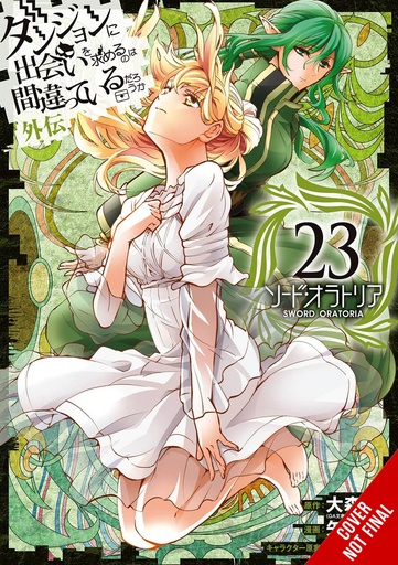 IS WRONG PICK UP GIRLS DUNGEON SWORD ORATORIA 23