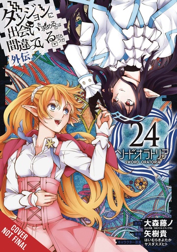 IS WRONG PICK UP GIRLS DUNGEON SWORD ORATORIA 24