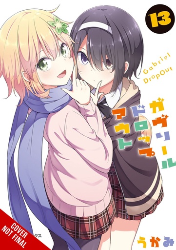 GABRIEL DROPOUT 13