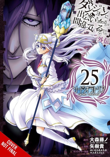 IS WRONG PICK UP GIRLS DUNGEON SWORD ORATORIA 25