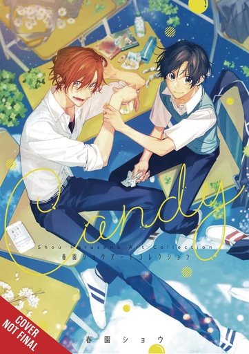 CANDY SHOU HARUSONO ART COLLECTION