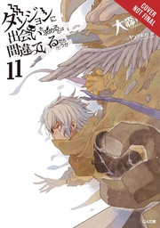 IS WRONG PICK UP GIRLS DUNGEON NOVEL 11