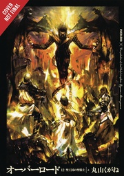 OVERLORD LIGHT NOVEL HC 12