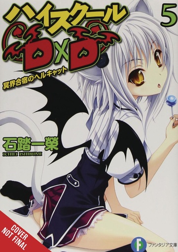 HIGH SCHOOL DXD LIGHT NOVEL 05