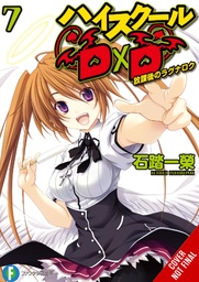 HIGH SCHOOL DXD LIGHT NOVEL 07