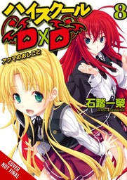 HIGH SCHOOL DXD LIGHT NOVEL 08