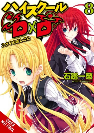 HIGH SCHOOL DXD LIGHT NOVEL 08