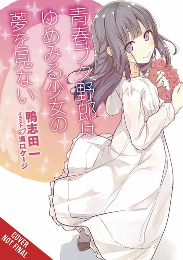 RASCAL DOES NOT DREAM OF DREAMING GIRL LIGHT NOVEL