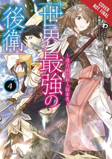 WORLD STRONGEST REARGUARD LABYRINTH NOVICE NOVEL 04