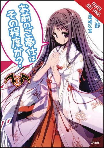 YOU CALL THAT SERVICE LIGHT NOVEL 03
