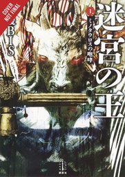 KING OF LABYRINTH LIGHT NOVEL HC 01