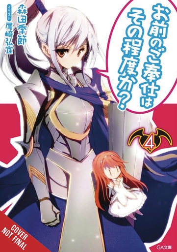 YOU CALL THAT SERVICE LIGHT NOVEL 04
