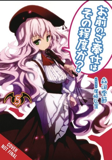YOU CALL THAT SERVICE LIGHT NOVEL 05