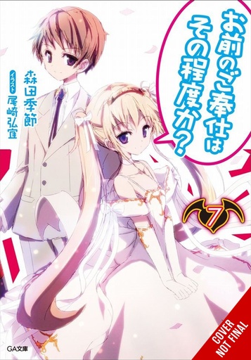 YOU CALL THAT SERVICE LIGHT NOVEL 07
