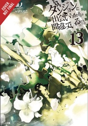 IS WRONG PICK UP GIRLS DUNGEON NOVEL 13