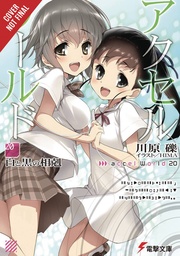 ACCEL WORLD LIGHT NOVEL 20