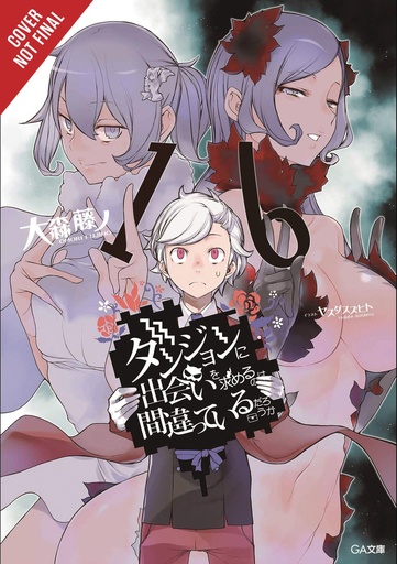 IS WRONG PICK UP GIRLS DUNGEON NOVEL 16