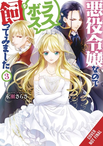 VILLAINESS TAMING THE FINAL BOSS NOVEL 03